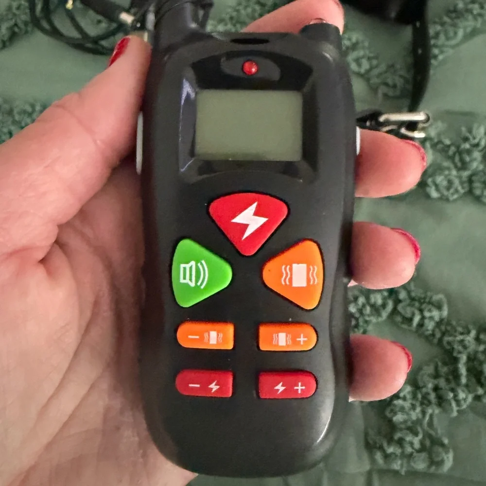 Dog Training Collar